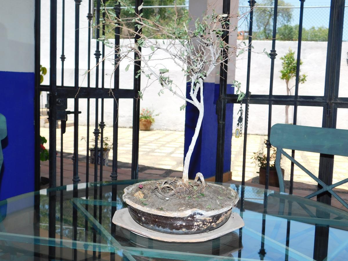 Casa Erizo 39 (Adults Only) Hotel Guanajuato Esterno foto
