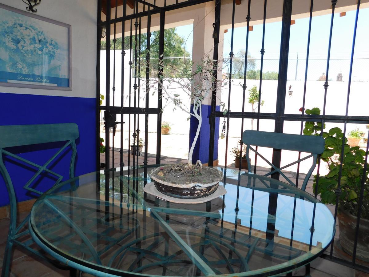 Casa Erizo 39 (Adults Only) Hotel Guanajuato Esterno foto